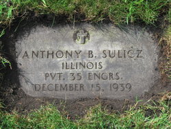 Anthony B Sulicz 