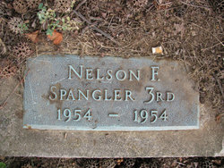 Nelson F Spangler III