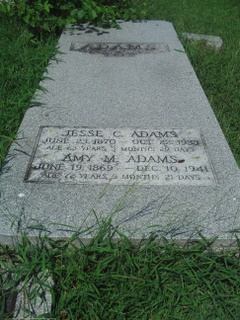 Amy M. <I>Austin</I> Adams 
