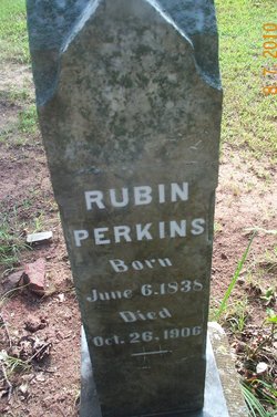Rubin Perkins 