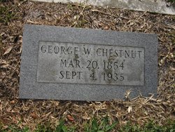 George W. Chestnut 