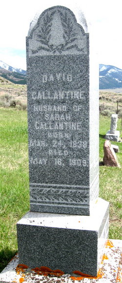 David B Callantine 