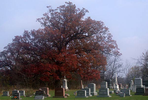 Providence Chapel Church Cemetery
