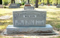 William Arthur Wilson 