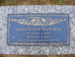 Joshua Robert David Skiba 