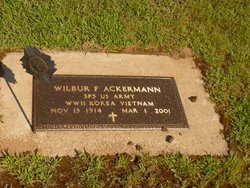 Wilbur F Ackermann 
