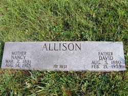 David M. Allison 