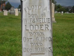 Floyd Albert Loder 