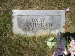Daisy Ashmead 