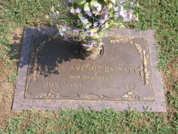 Alice Avenue Baskett 
