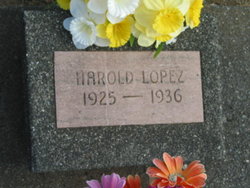 Harold Lopez 