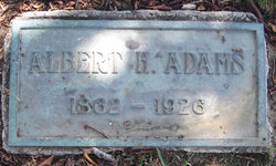 Albert H Adams 