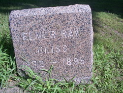Elmer Ray Bliss 