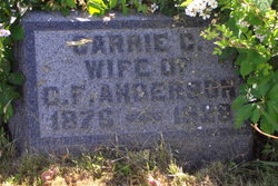 Carrie C. <I>Bobo</I> Anderson 