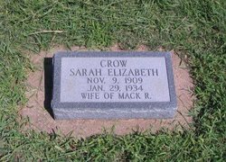Sarah Elizabeth <I>Crossman</I> Crow 