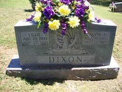Lillie Elizabeth <I>Bryant</I> Dixon 