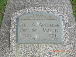 Jane A Ackerman 