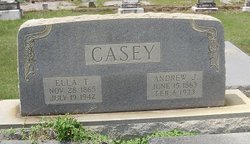 Andrew Jackson Casey 