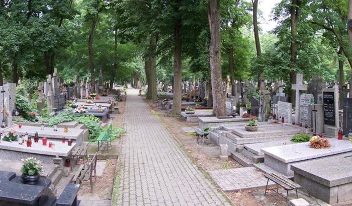 Brodno Cemetery