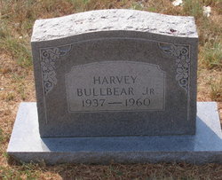 Harvey Bull Bear Jr.