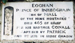 Eoghan Mac NéIll 