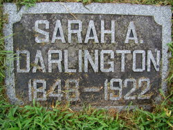 Sarah A Darlington 