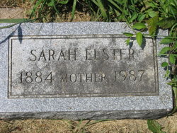 Sarah <I>Olson</I> Elster 