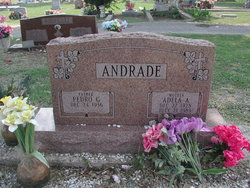 Adela A. <I>Amejorado</I> Andrade 