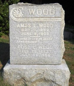 Amos Lee Wood 