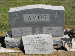 Julia M <I>Austin</I> Amos 