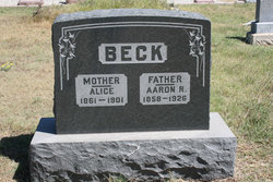Aaron Rose Beck 