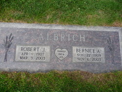 Robert J Albrich 
