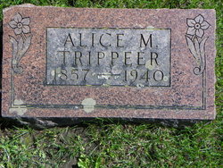 Alice Mary <I>Alexander</I> Trippeer 