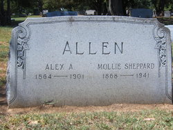 Mary Virginia “Mollie” <I>Sheppard</I> Allen 