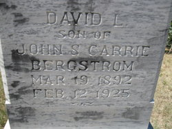 David L Bergstrom 