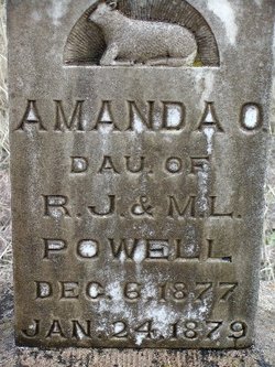 Amanda O Powell 