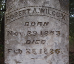 Robert A Wilcox 