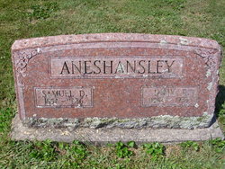 Samuel D Aneshansley 