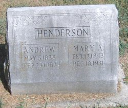 Mary Ann <I>Walters</I> Henderson 