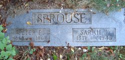 Sarah Jane <I>Henkle</I> Sprouse 