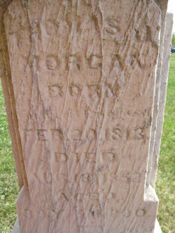 Thomas J Morgan 