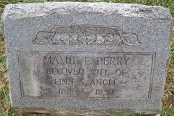 Mary Elizabeth “Mamie” <I>Perry</I> Angle 