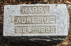 Harry Aurelius 