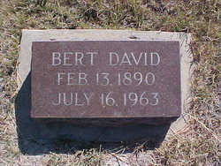 Bert David Cessna 