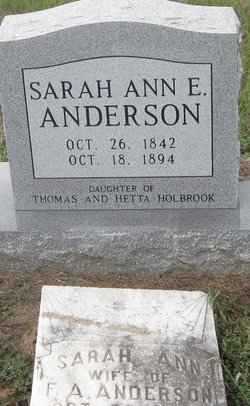 Sarah Ann E. <I>Holbrook</I> Anderson 