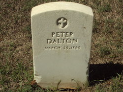 Peter Dalton 