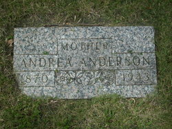 Andrea <I>Nelson</I> Anderson 