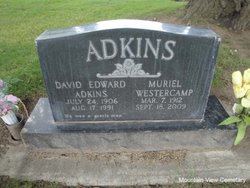 David Edward Adkins 