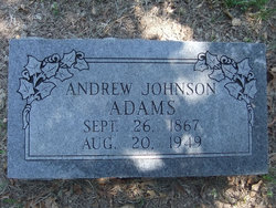 Andrew Johnson Adams 