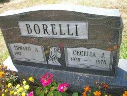 Cecilia J. <I>Yenzi</I> Borelli 